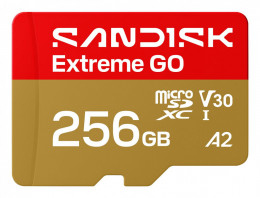 SanDisk Extreme 256GB UHS-I Class 10 V30 A2 (SDSQXGN-256G-GN6MN)