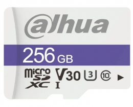 Dahua DHI-TF-C100/256GB