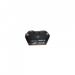 Matrix 12V 80AH (NP80-12)