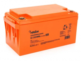 Merlion GL12650M6 GEL 12V 65Ah (GL12650M6 GEL)