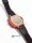 Casio SGW-1000B-4AER