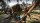 Dead Island 2 (PS4)