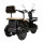 Atlas Elegant Trike 800W Black (4016)
