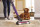 BLACK&DECKER BHFEV362DP