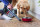 BLACK&DECKER BHHV520BT