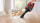 BOSCH BCS8214ANM