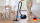 BOSCH BGLS2BA3H EU