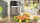 Bosch MAF462C0 EU