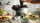 Bosch MUMS6ZS34