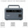 CTECHi GT600 600Вт 384Wh Grey EU