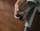 Electrolux EP72UB21SW