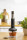 Gorenje HBX1500VX