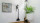 GORENJE SVC222230AEW