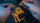 GravaStar Alpha65 65Вт 2XUSB-C/USB-A, War-Damaged Yellow ( GRAVASTARA65_YLW_EUK)