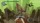 Gravity Rush Remastered PS4 (русские субтитры)