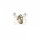 HiFuture SonicAir Champagne (sonicair.champagne)