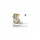 HiFuture SonicAir Champagne (sonicair.champagne)