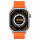 Kospet Pulse Silver