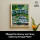 LEGO Art «Мост над прудом с кувшинками» Клода Моне (31220)