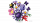 LEGO Botanicals Букет квітів Олівії Родріґо (11507)