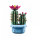 LEGO Botanicals Цвітіння кактуса (11509)