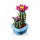 LEGO Botanicals Цвітіння кактуса (11509)
