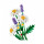 LEGO Botanicals Ромашки (11508)