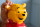 LEGO Disney Classic Вінні-Пух (43300)