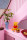 LEGO Disney Classic Вінні-Пух (43300)