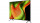 LG OLED 55 OLED55B56LA