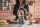 Ninja 3-в-1 Ninja CB350EU