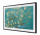 Samsung QE32LS03C