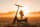 Segway-Ninebot GT3 PRO (AA.06.02.02.0004)