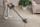 SENCOR SVC 7222BK