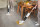 SENCOR SVW 5010WH