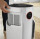 Shark NeverChange5 Air Purifier HP150EU