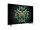 TCL 50C61K EU