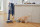 Tineco Floor One S5 Combo Plus (FW150300DE)