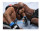UFC 4 XBox One (русские субтитры)
