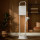 Xiaomi Standing Garment Steamer